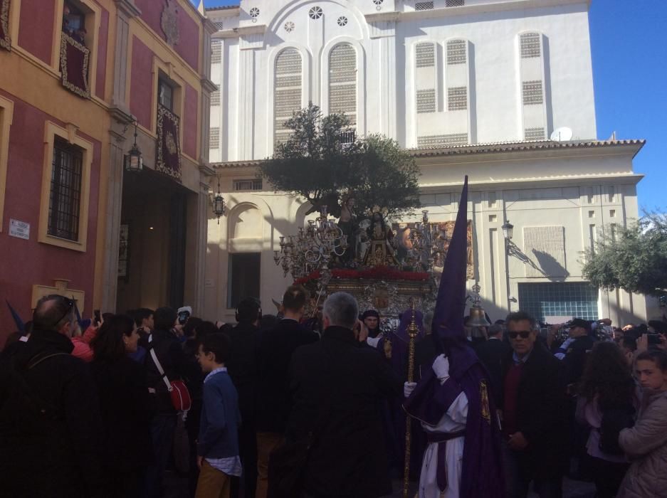 Domingo de Ramos | Huerto