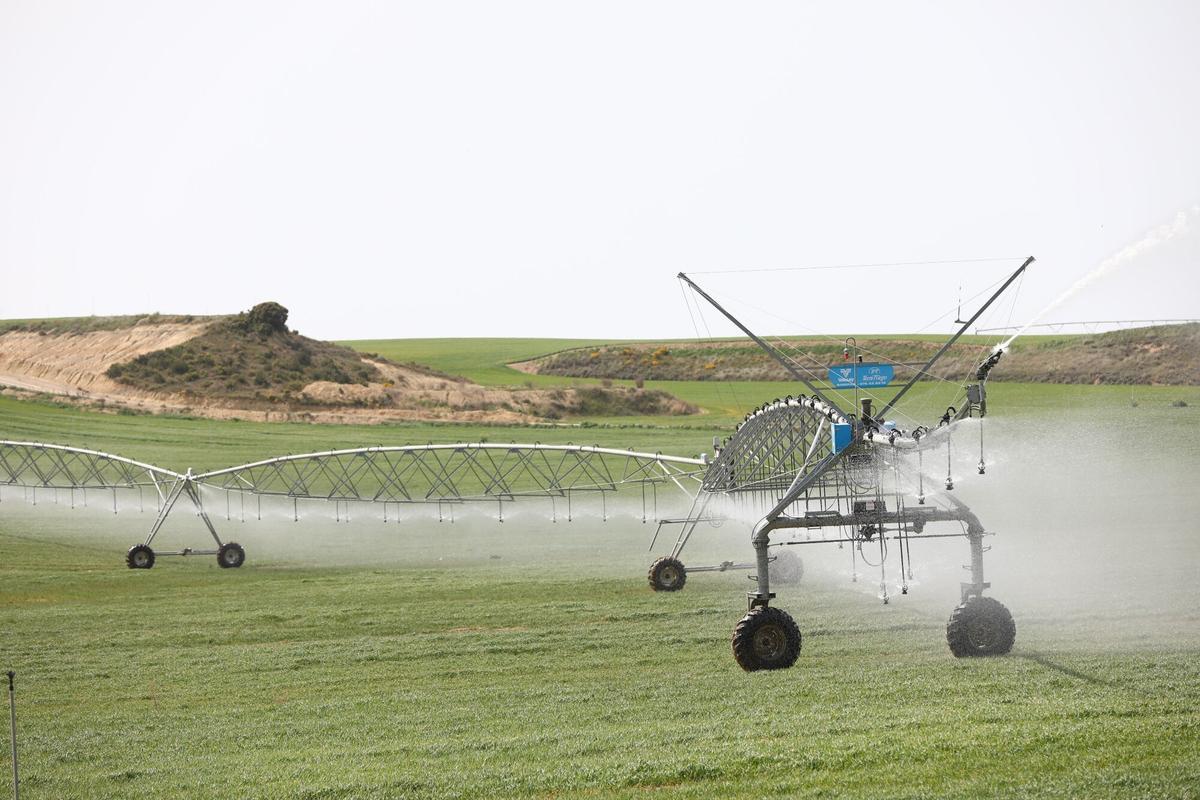 Riego por aspersión en una finca de cereales en la provincia de Zaragoza.