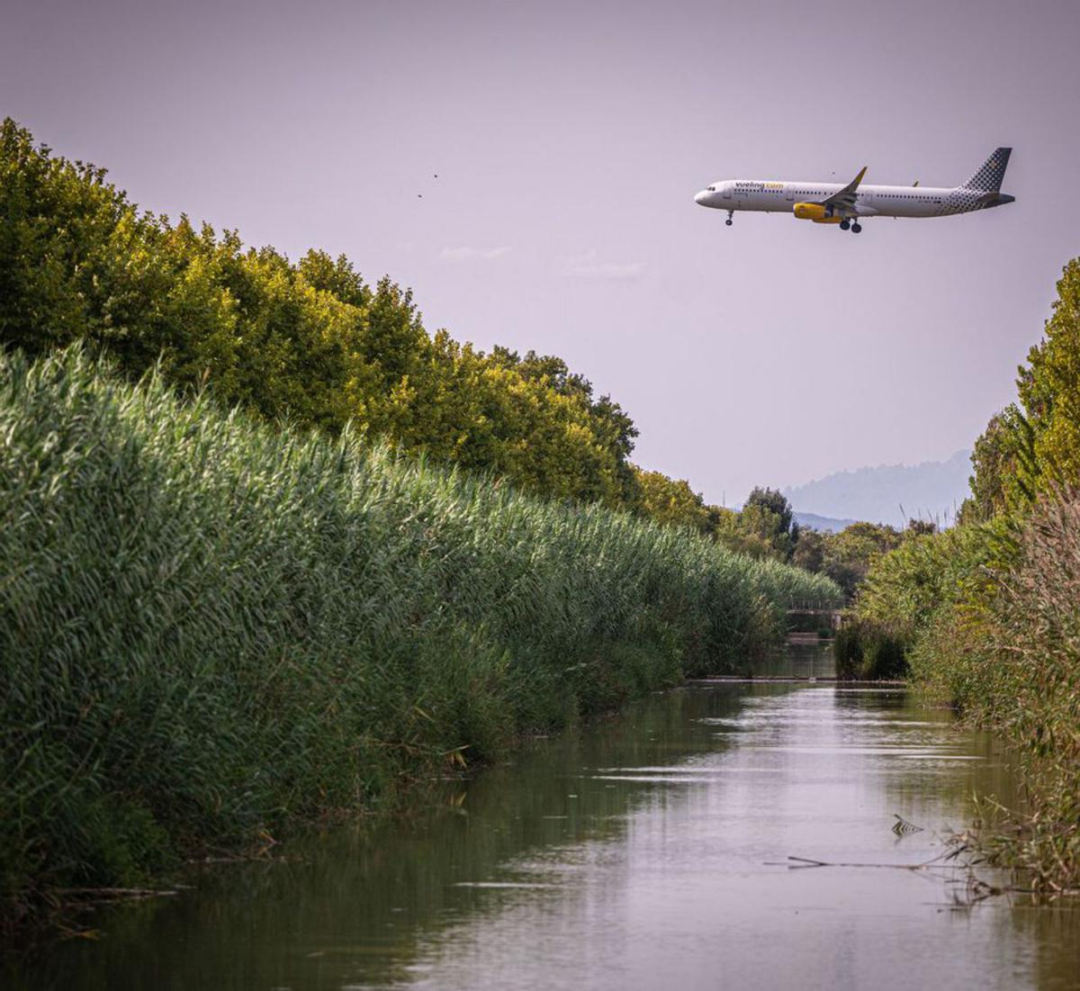 Foment qualifica la ZEPA del delta de "traïció" a l’agricultura moderna