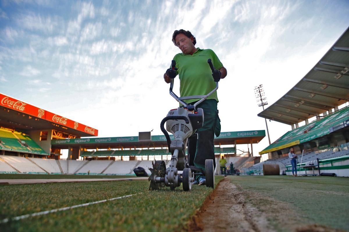 Finalizan los trabajos de colocación del nuevo cesped en El Arcángel