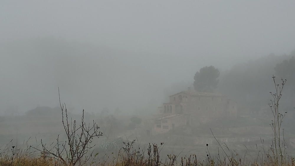 Boira al parc de l’Agulla, a Manresa.