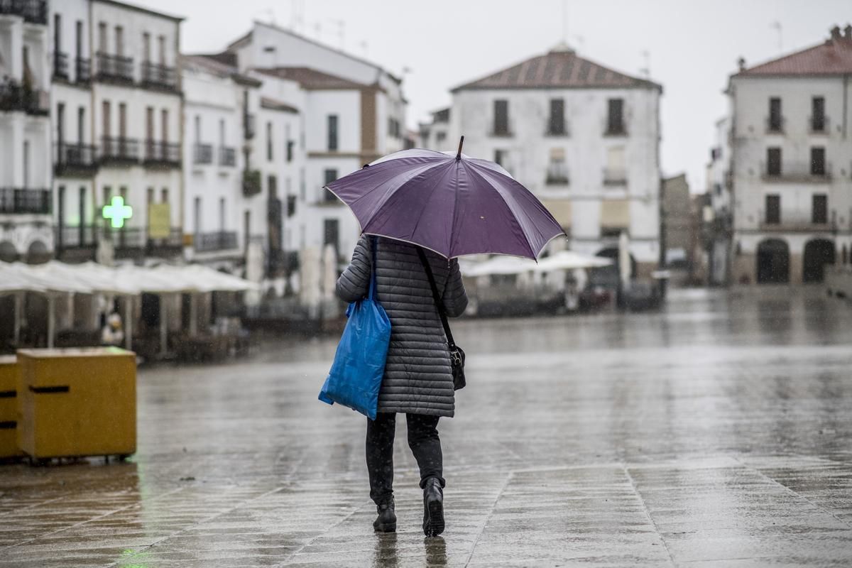 Fotogalería | Así afecta el temporal de lluvia y viento en Cáceres