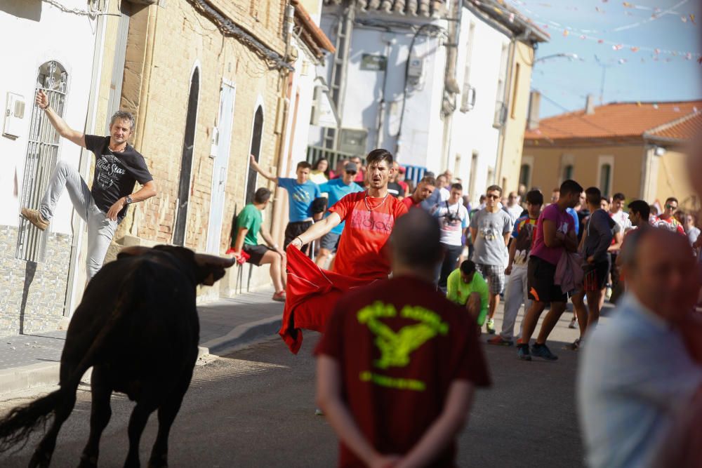 Encierro Urbano Bóveda de Toro