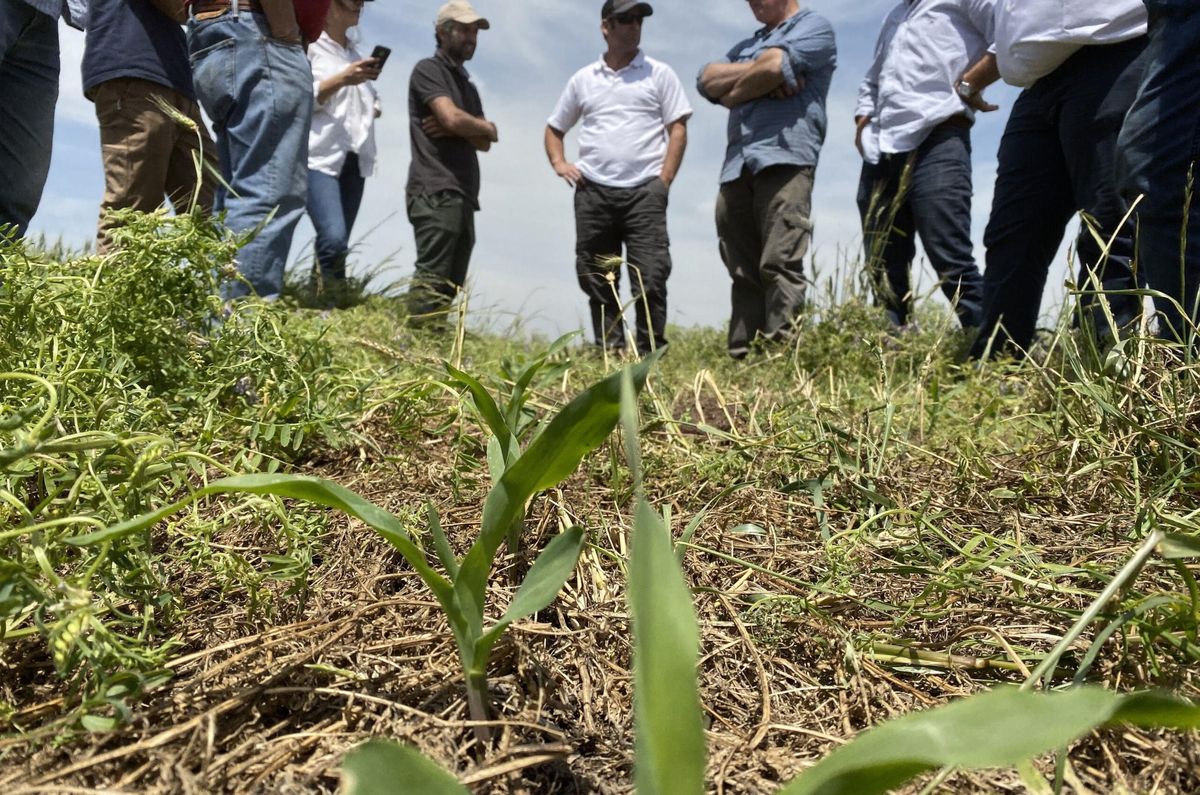 La agricultura regenerativa y la ecológica no usan sustancias tóxicas en sus cultivos