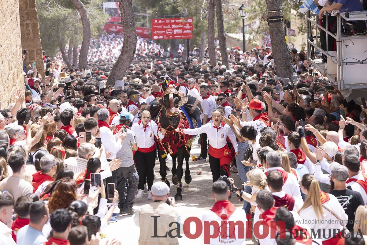Así se ha vivido la carrera de Los Caballos del Vino en Caravaca
