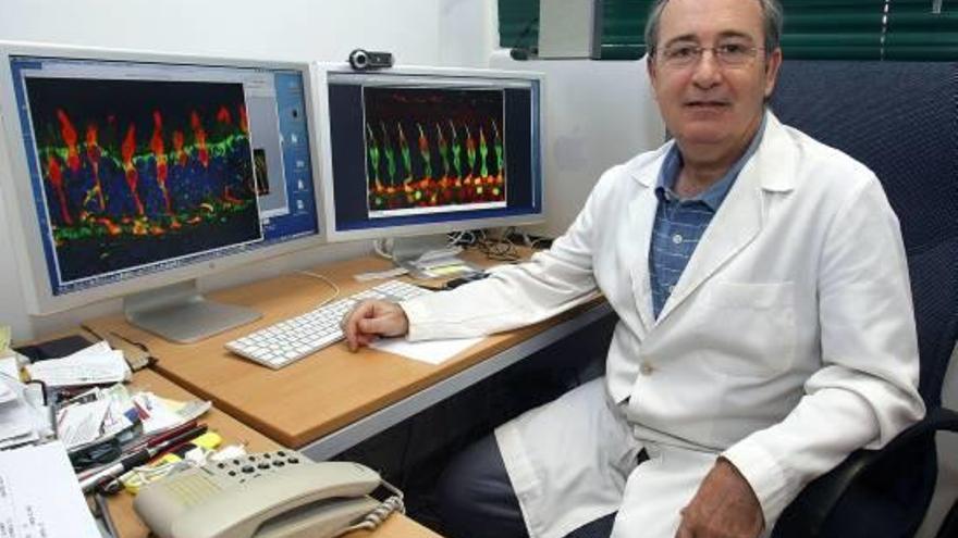 El doctor Nicolás Cuenca es el coordinador del grupo de investigación.