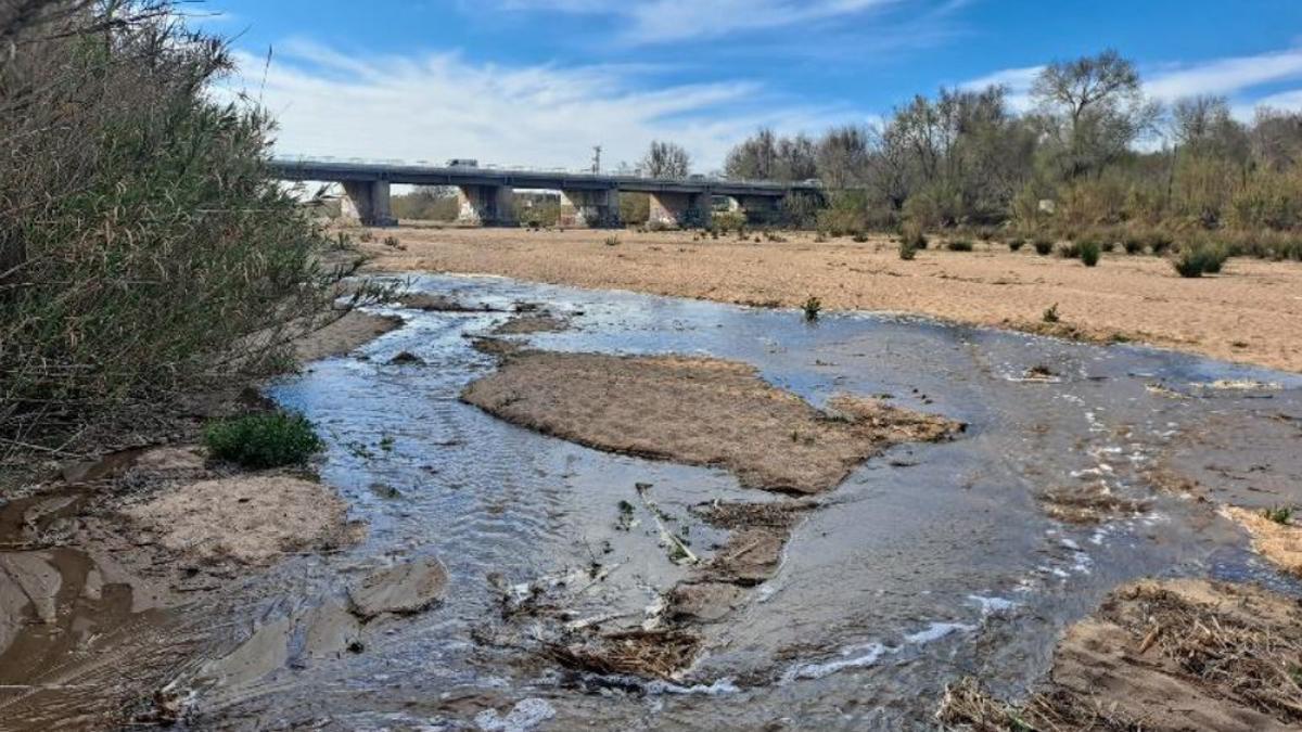 L'estació regeneradora de la depuradora de Blanes comença a aportar aigua al riu Tordera per garantir el cabal ecològic