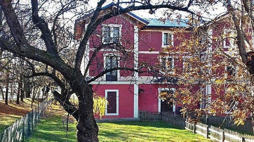 Una de les zones d&#039;arbres urbans analitzades