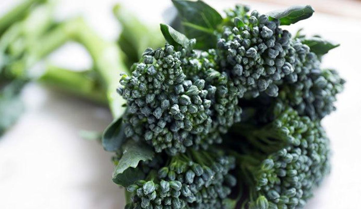 Bimi, el nuevo bocadito gourmet vegetal