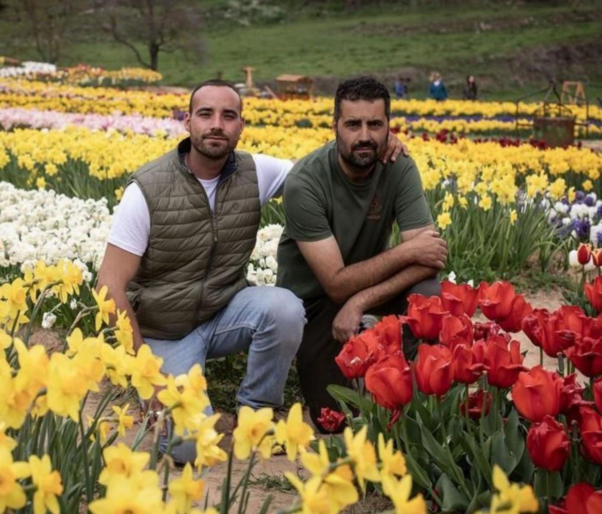 El jardí viral de 250.000 flors