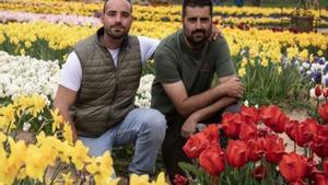 El jardí viral de 250.000 flors