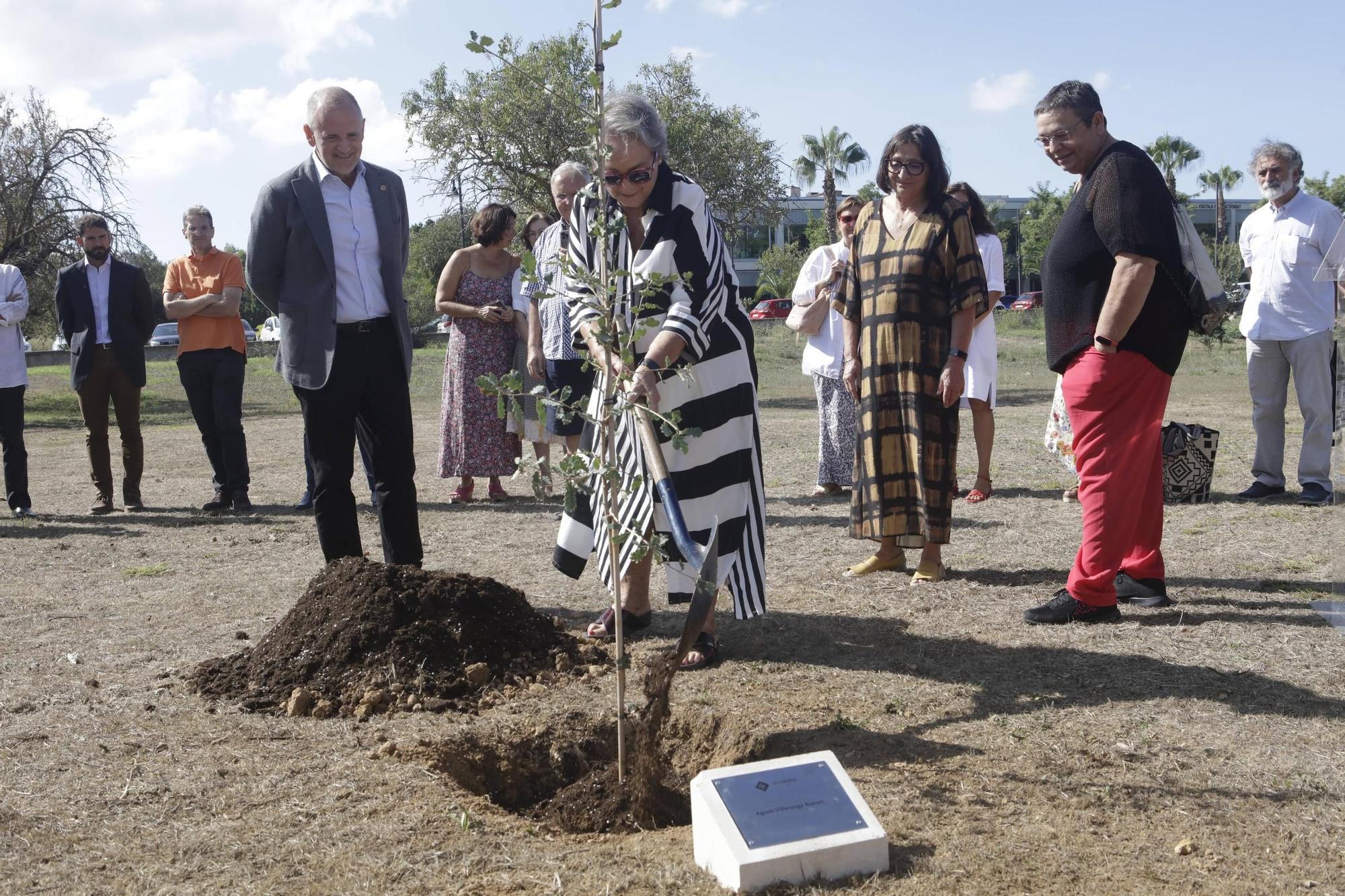 La UIB planta un árbol en memoria de Agustí Villaronga