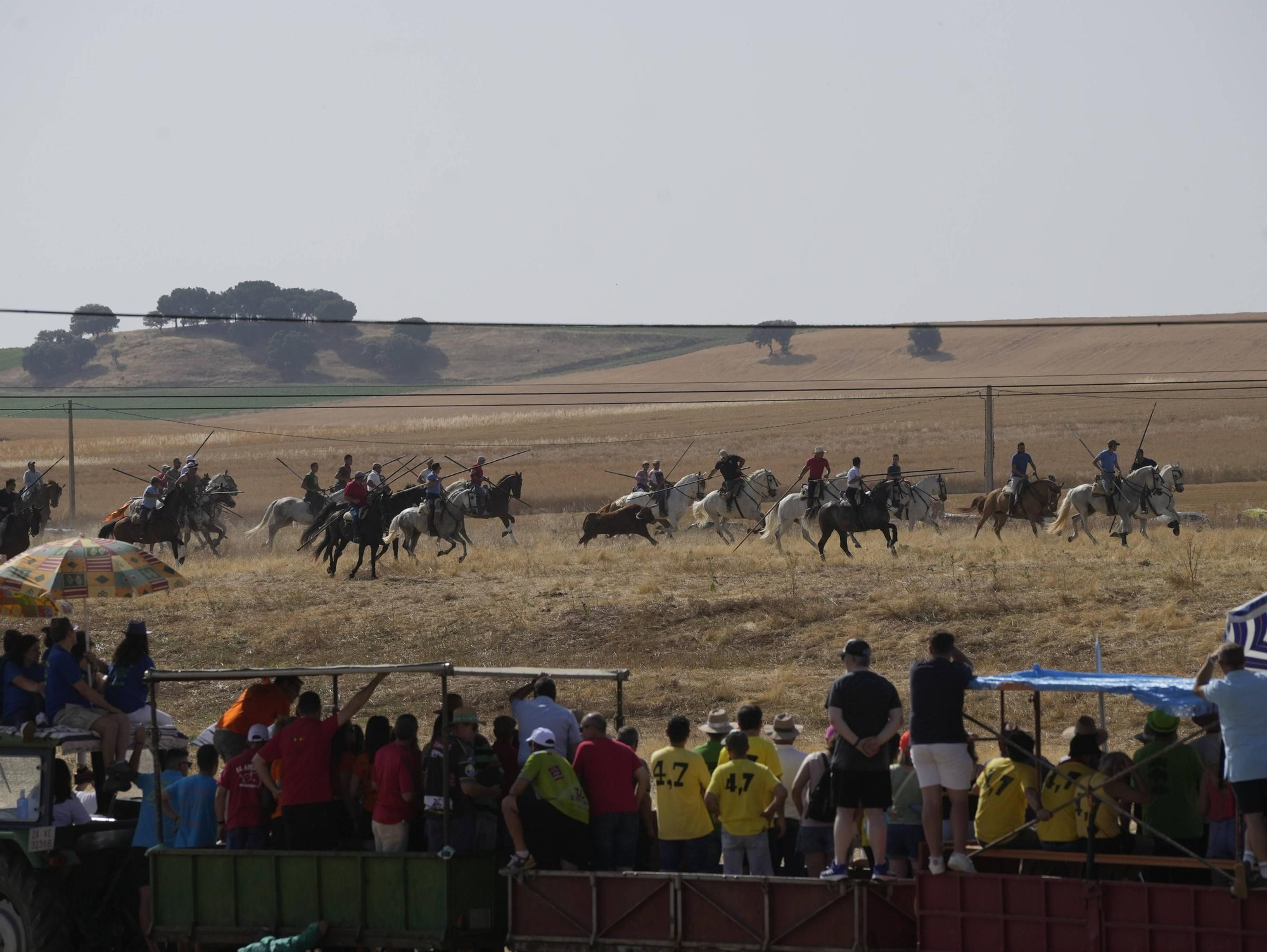 GALERÍA | Entrenido encierro con la pradera abarrotada en Guarrate