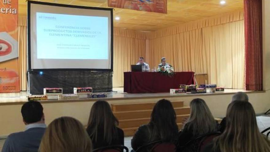 Charla sobre las posibilidades de futuro de la clemenules