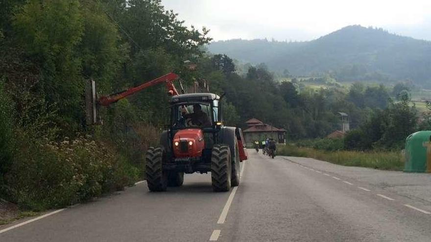 El Principado inicia el desbroce de las carreteras alleranas