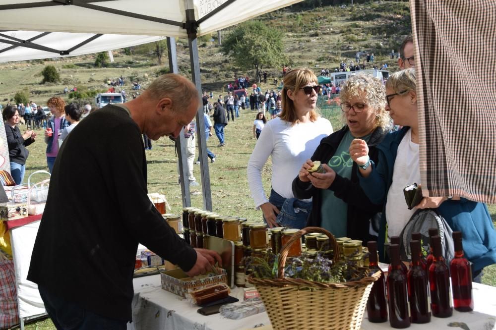 Concurs boletaire de Puigventós