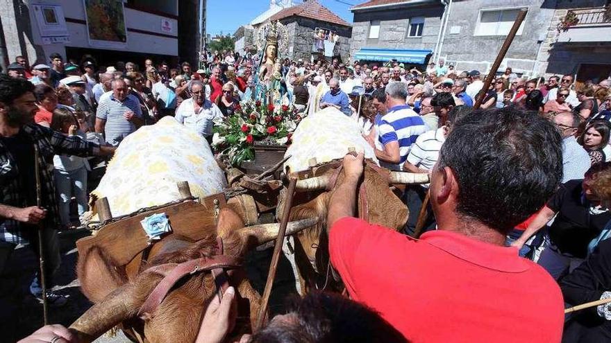 La Virgen de A Franqueira sale en procesión en un carro tirado por vacas. // A. H.