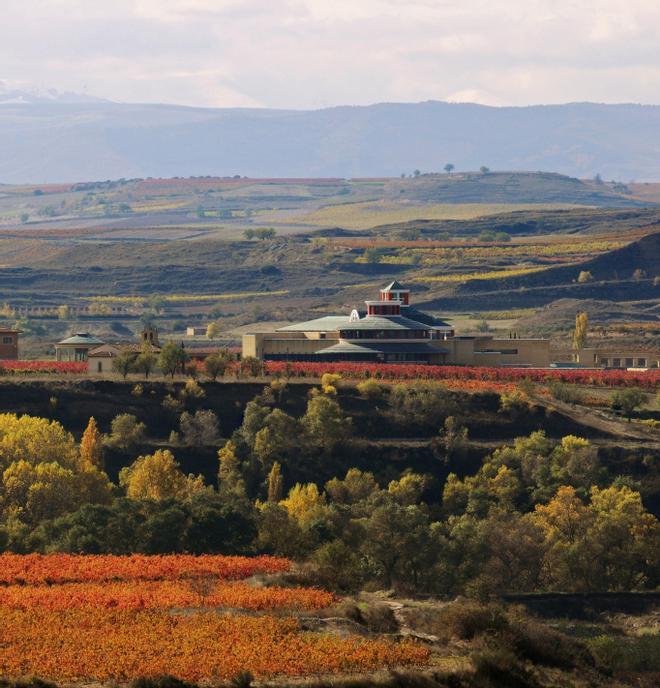 Bodega Vivanco