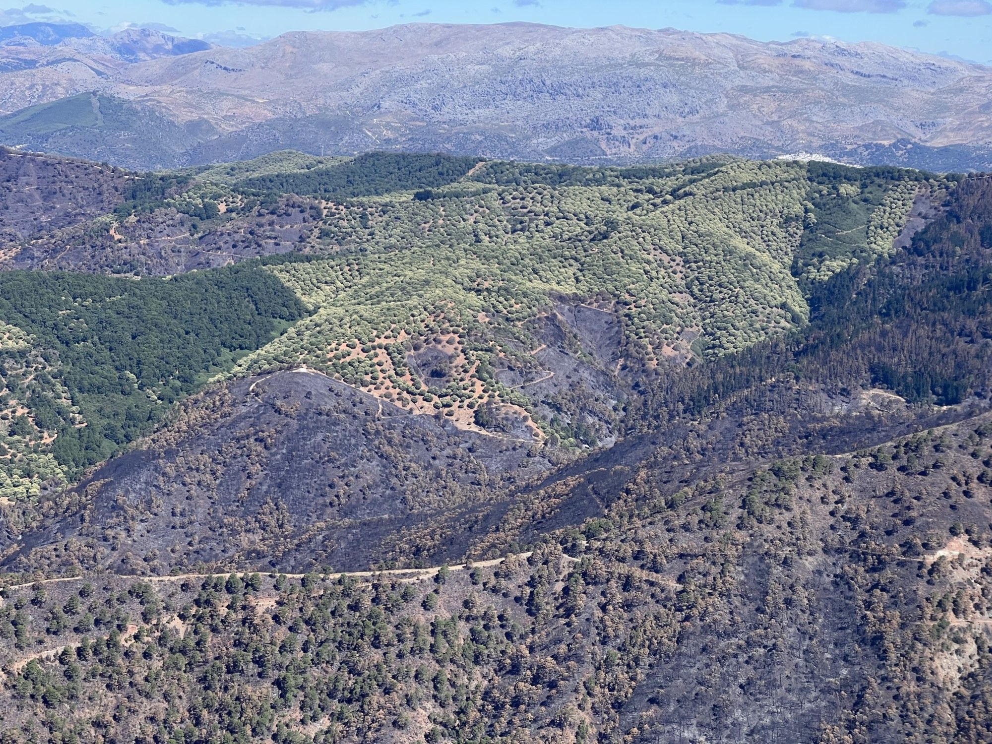 Así ha quedado la zona afectada por el incendio de Pujerra, ya extinguido