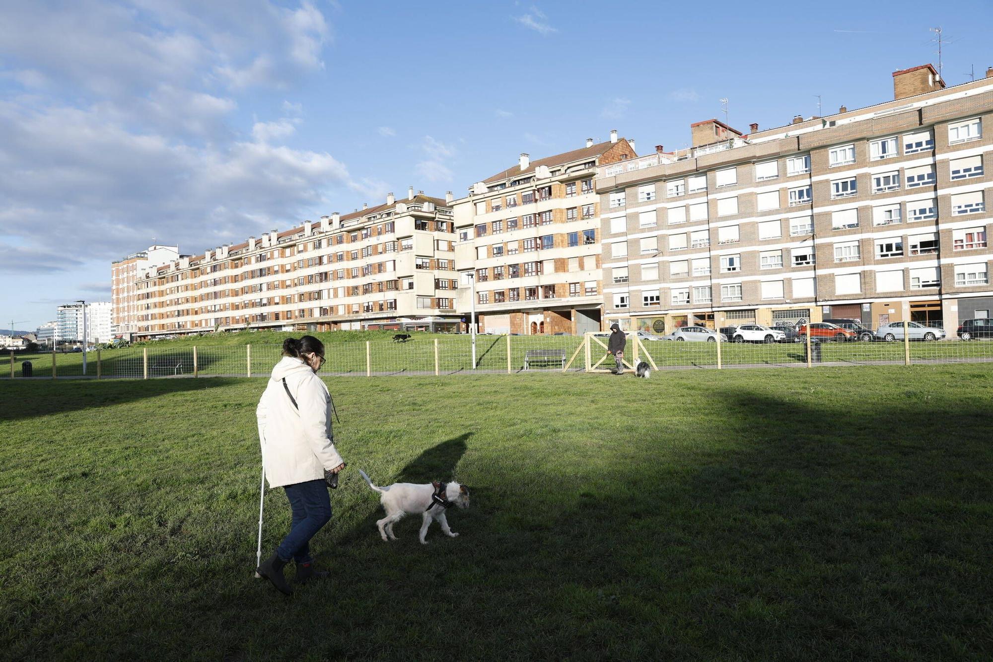 Así disfrutan en la nueva zona para perros en el Solarón (en imágenes)
