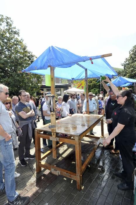 Festival de la sidra en El Entrego