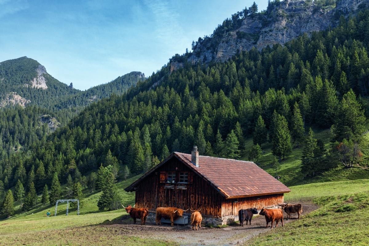 Malbun, Liechtenstein.