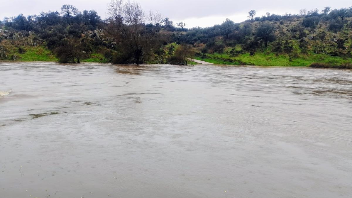Vídeo | Así va el río Salor a su paso por el acceso a la finca Cuartos del Baño