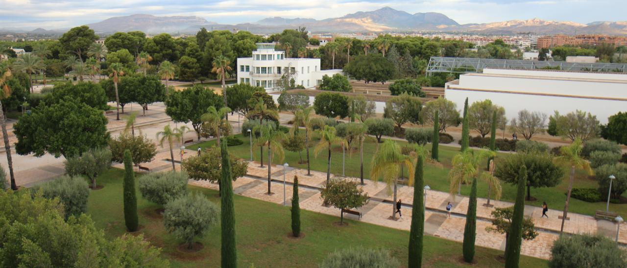 Imagen del Campus de la Universidad de Alicante