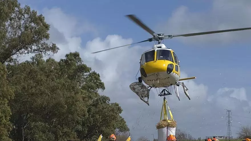 Vídeo | Un helicóptero lleva alimento a 480 ovejas aisladas en Arroyo de San Serván