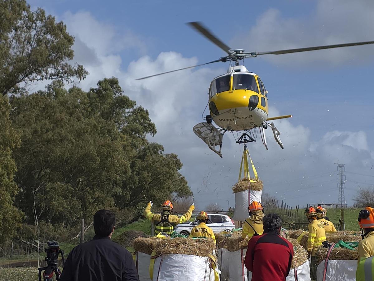Helicóptero que transporte el alimento para las ovjeas aisladas en Arroyo de San Serván.