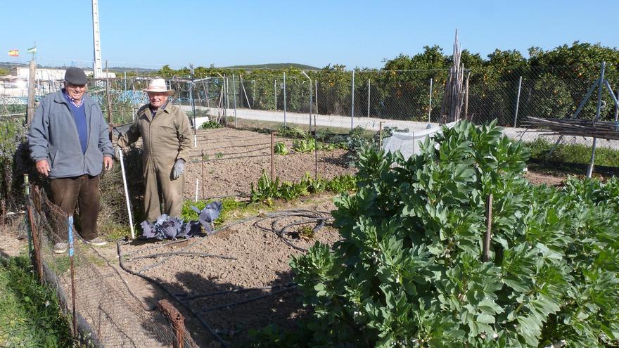 El Ayuntamiento de Palma del Río ampliará los huertos sociales a otras zonas