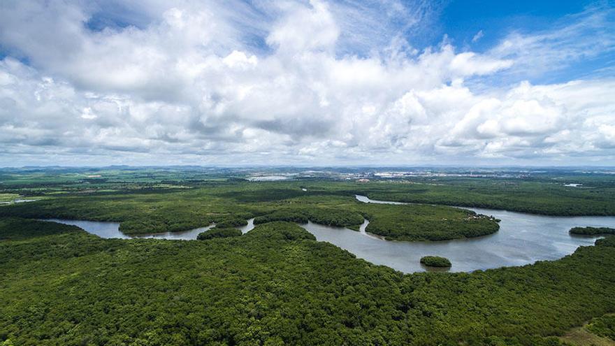 La selva del Amazonas en Brasil