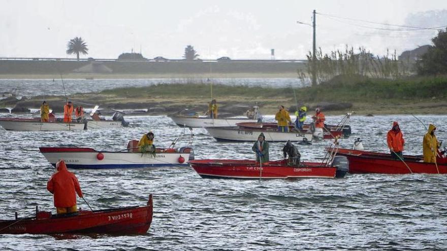 Labores de marisqueo a flote en A Illa de Arousa. // Iñaki Abella