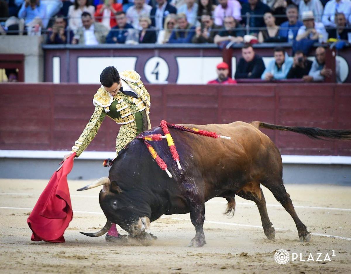 Roca Rey.