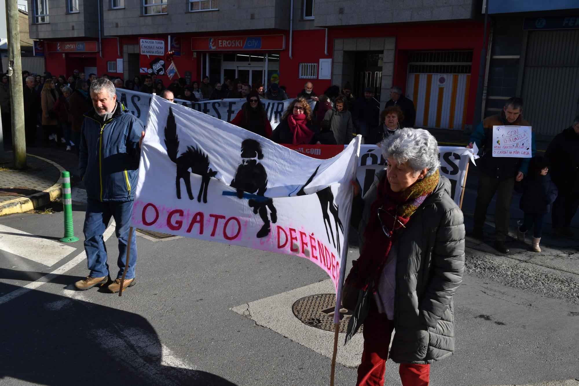 Marcha el Carral contra la "invasión eólica"