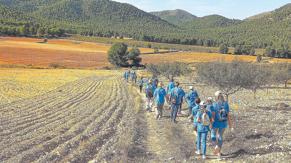 Actividad de limpieza de zonas montañosas de Cehegín