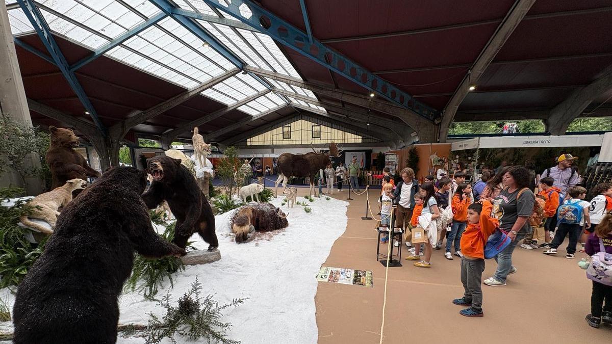 Escolares observan la exposición de taxidermia en Narcenatur 2025.