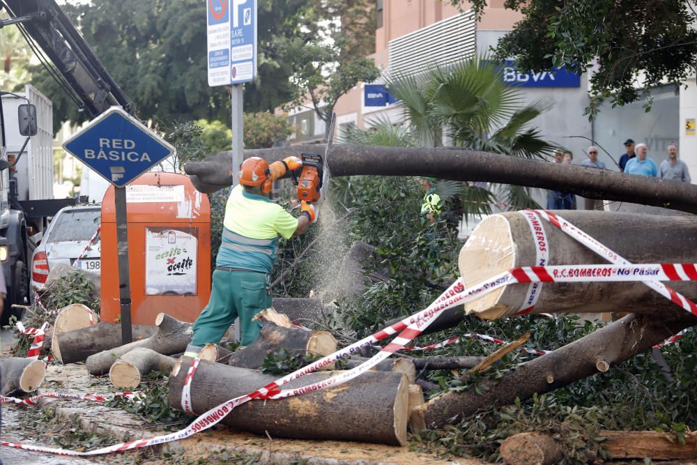 Últimos coletazos del temporal Dana en la ...