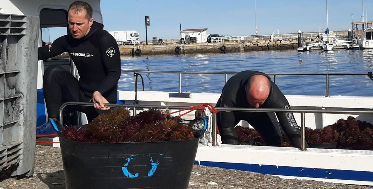 Subasta de productoen la lonja deCambados.   | //  NOÉ PARGA