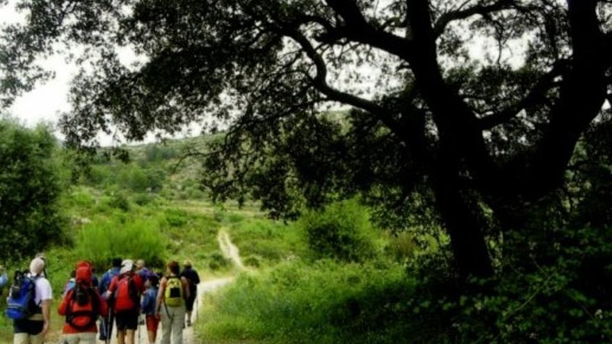 Vía verde del Río Serpis