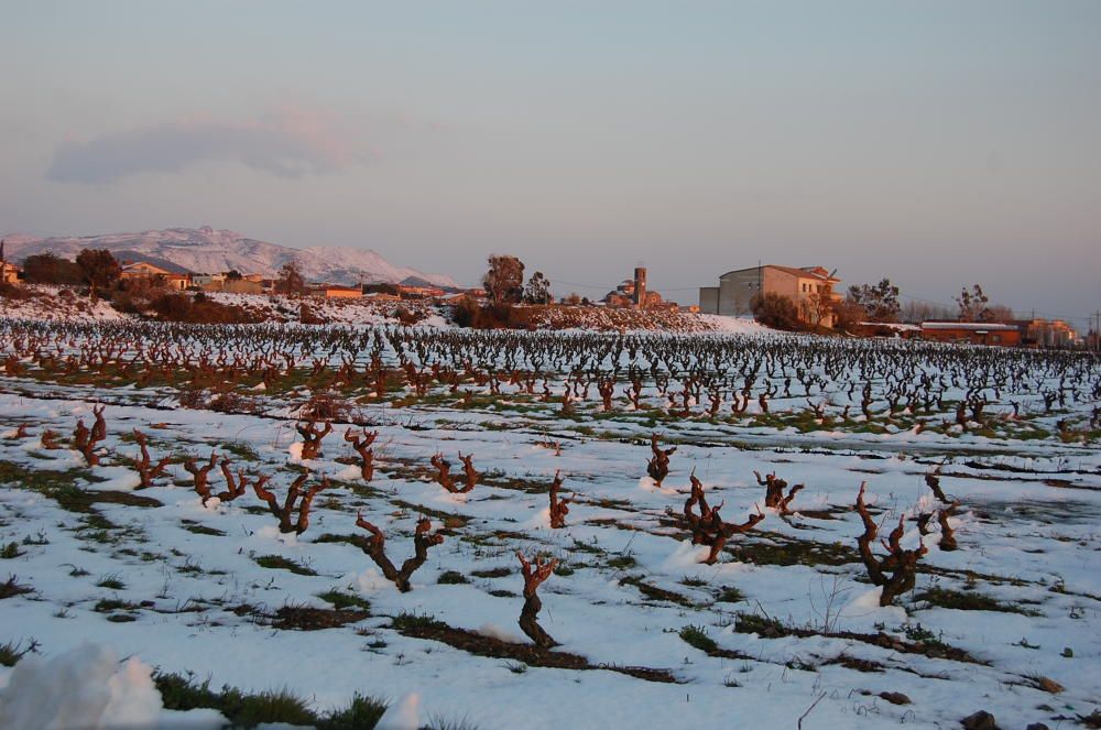 La neu va emblanquinar tota la comarca