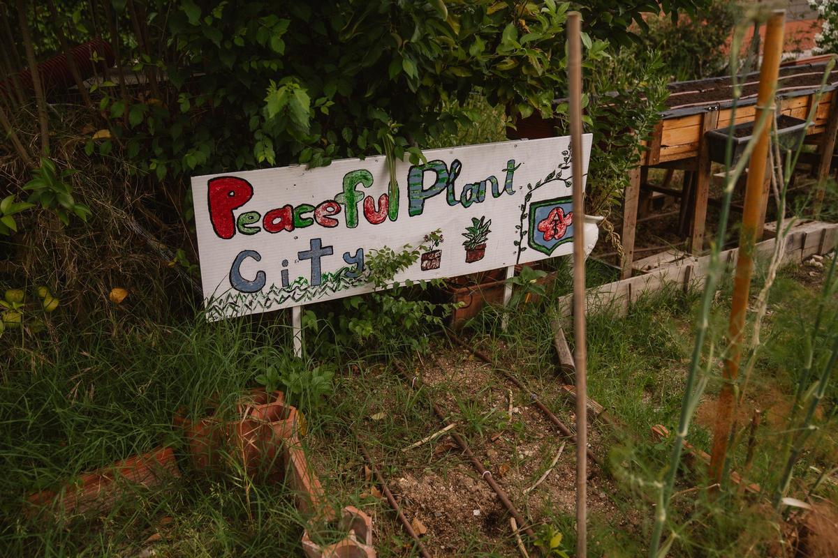 Un cartel con el lema 'Paceful Plant City' entre los bancales.
