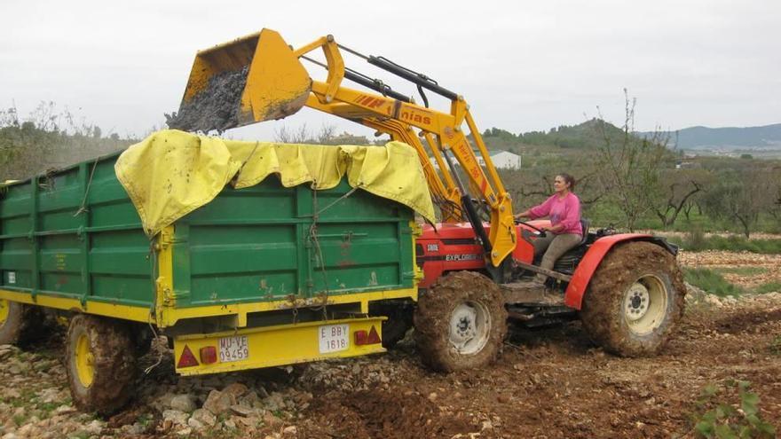 Una mujer maneja un tractor durante su trabajo en una explotación agrícola.