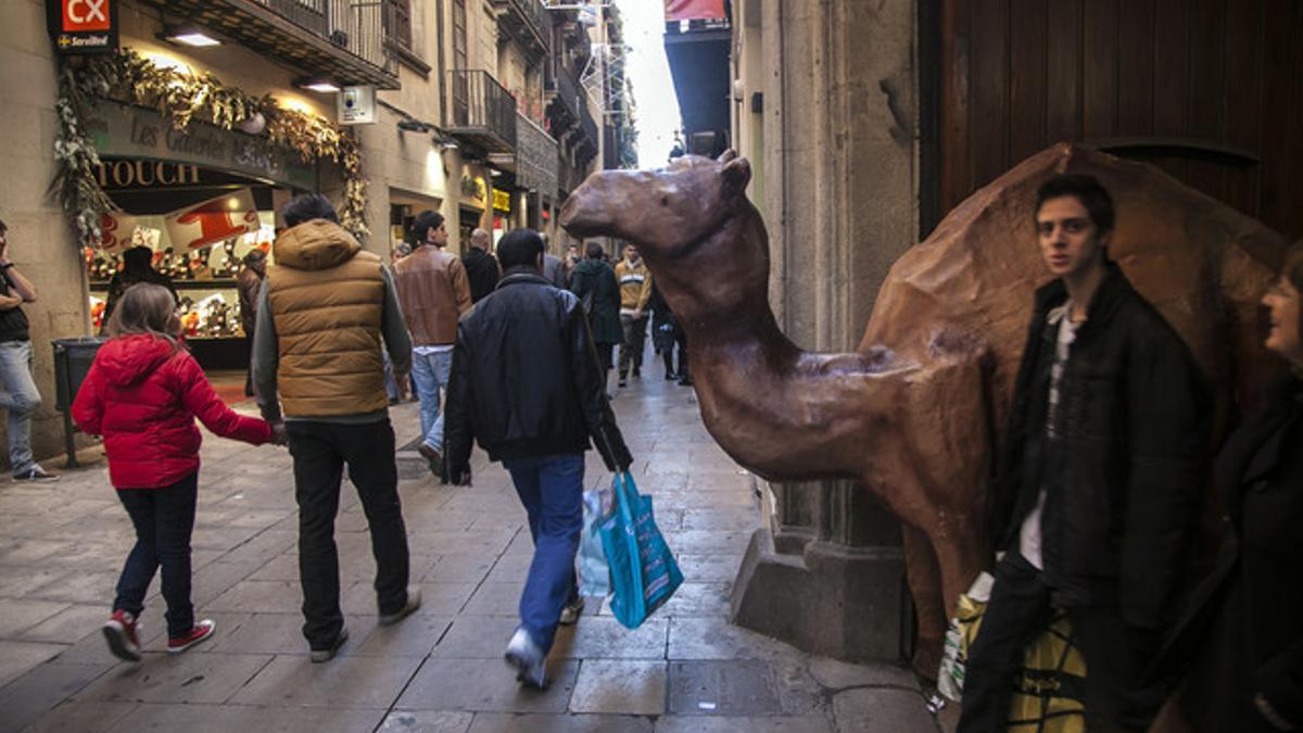 El camello situado en Portaferrissa