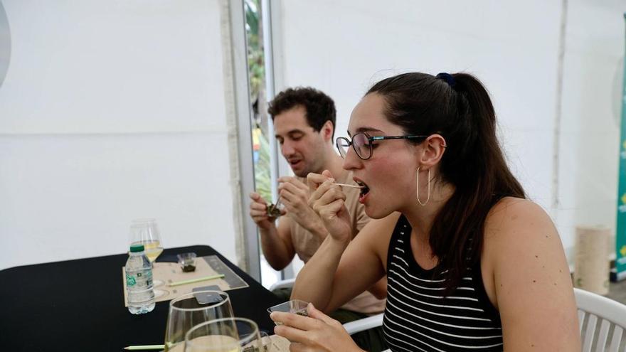 Las algas y todas sus posibilidades culinarias: una cata en Gijón para degustar el auténtico sabor del mar