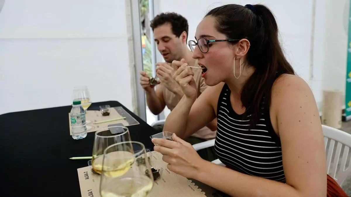 Las algas y todas sus posibilidades culinarias: una cata en Gijón para degustar el auténtico sabor del mar