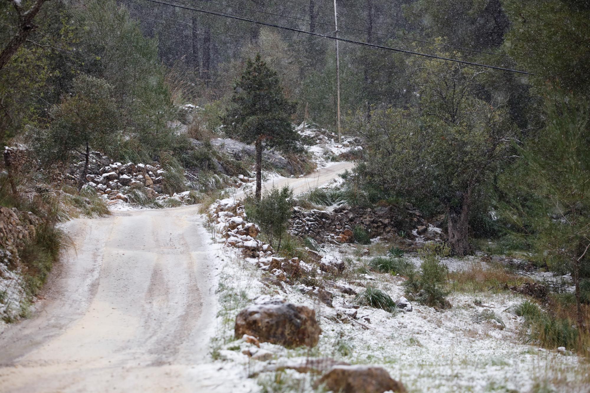 Galería de imágenes de la nieve por la borrasca Juliette en Ibiza