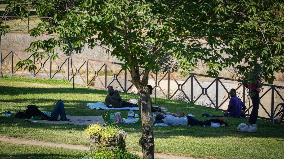 El grupo de migrantes, junto a dos amigos, hace vida en el parque del Rivillas.