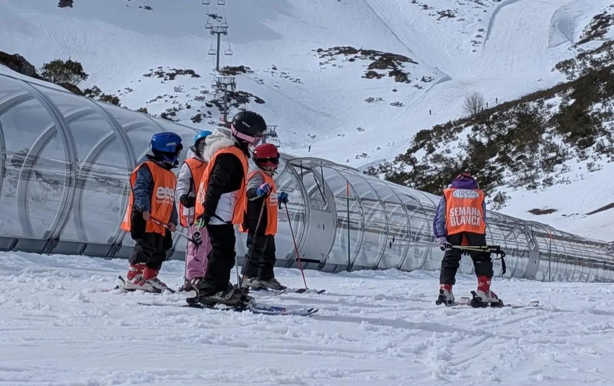 Asistentes a cursos de la Semana Blanca, en Fuentes de Invierno.