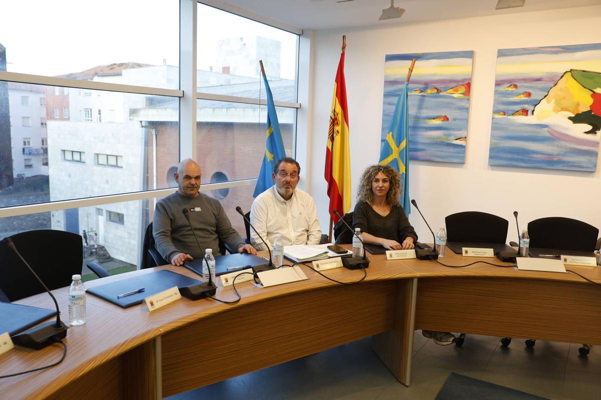 Los concejales no adscritos Jorge Calderón, Florentino Cuétara y Patricia Suárez en un Pleno.